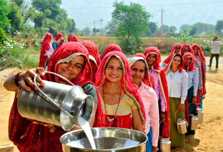 The Potential of the Dairy Sector for Better Farming Income and Economic Empowerment of Women