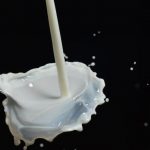 Union slashes milk purchase price by Rs 1.5 per litre