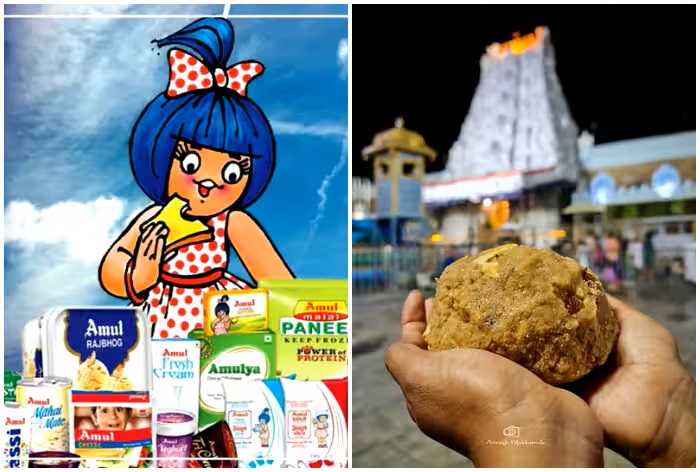 What is the link between Amul and Tirupati Laddus