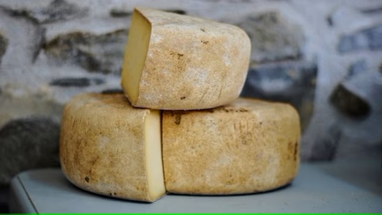 22,000 kg of cheese stolen after London dairy cheated by fake distributors