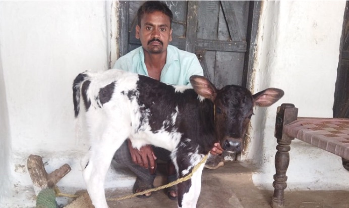 Adani Foundation at ACC Jamul transforms livestock quality and empowers dairy farmers in Chhattisgarh