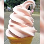 Dried softy ice-cream mix not dairy product, to be taxed at 18 per cent