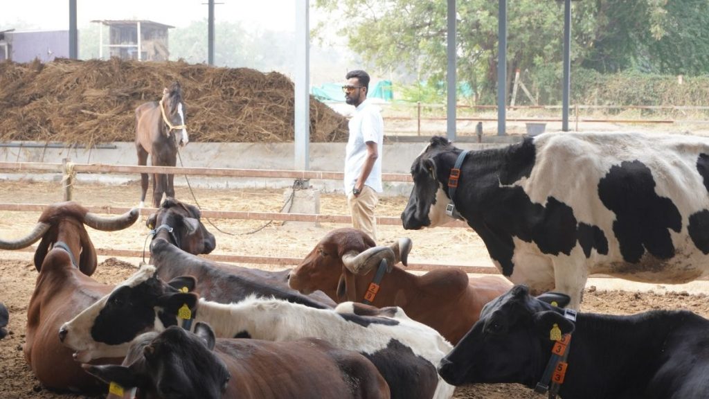 From Farm to Family - Karna Desai's Vision for a Sustainable Dairy Future