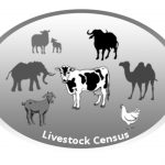 Livestock census