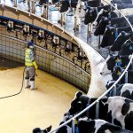 Researchers work to reduce emissions in dairy industry