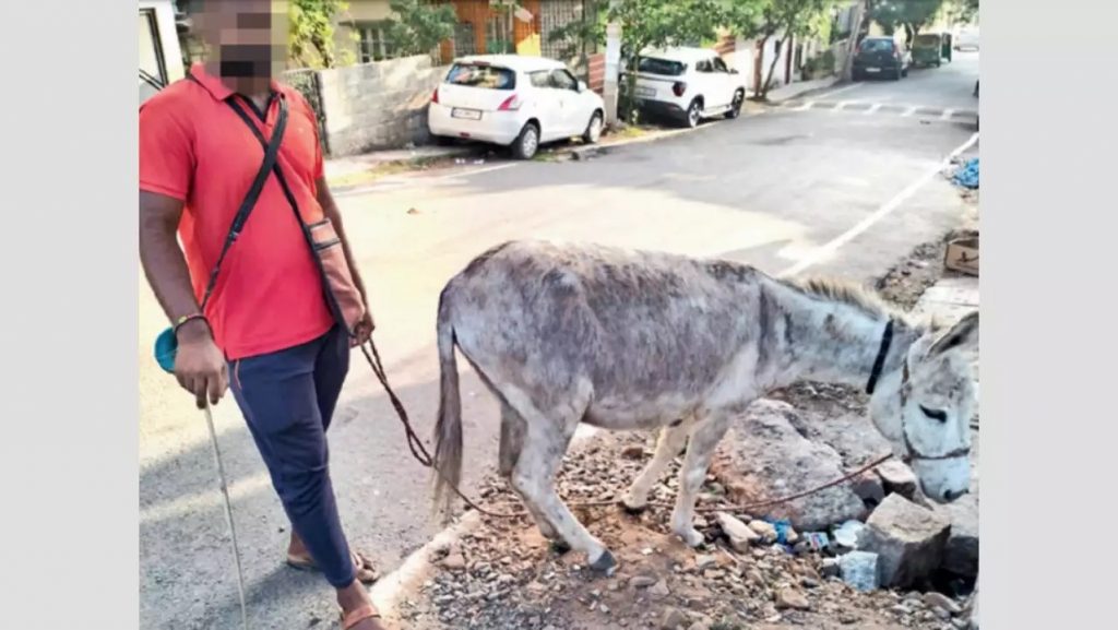 Rs 10 crore donkey milk scam busted in Kalyana Karnataka 300 cheated