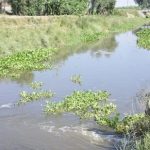 Speed up installing biogas plants at Haibowal, Tajpur road dairy complexes MP Seechewal