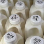 Two held for swindling money from milk coop, get bail