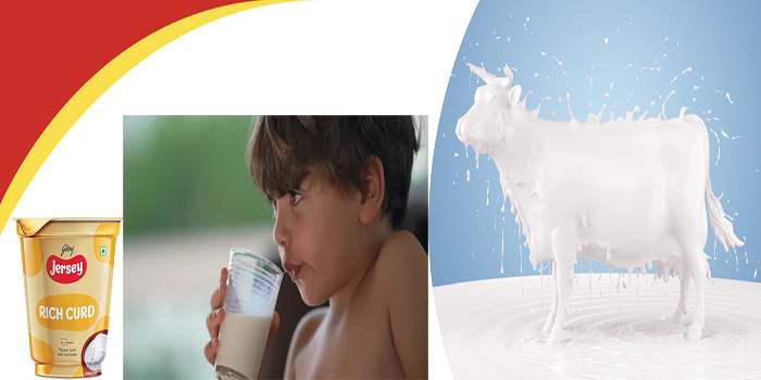 60 Indian parents give milk to their kids to maintain intake of calcium Godrej Jersey’s Milk Report