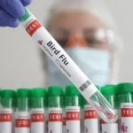 Canada detects first presumptive human bird flu case, teen infected