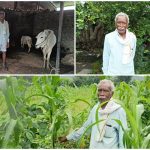 Farmers in Maharashtra are adopting integrated farming practices for better profits