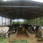 Training for dairy farmers