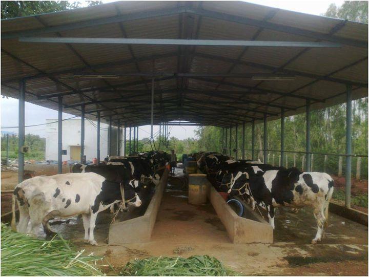 Training for dairy farmers