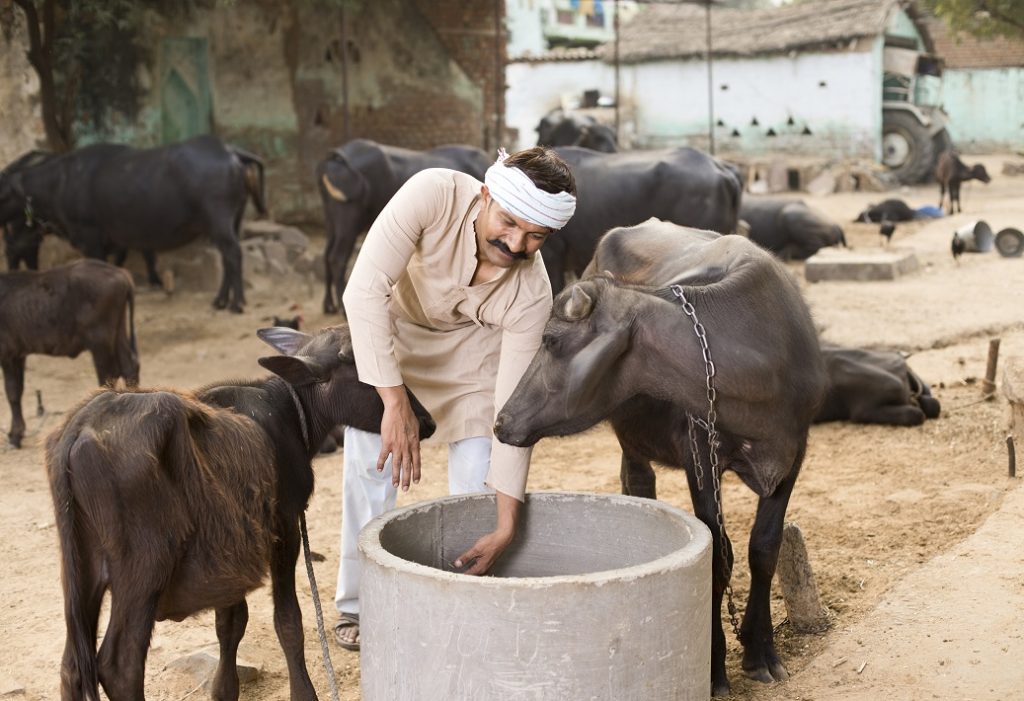 WAAW-2024-Focusing-on-farm-biosecurity-enhanced-awareness-and-prudent-medicinal-usage-can-mitigate-antimicrobial-resistance-in-dairy-farming