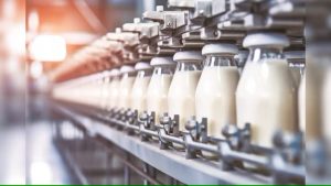 Balanced diets, breed management can cut emissions in dairy sector