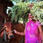 Hindustan Zinc Enables Sustainable Livelihood For Dairy Farmers