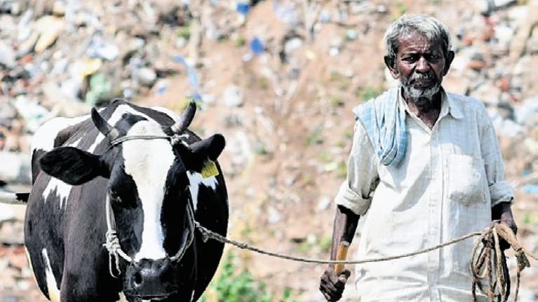 In Karnataka, dairy farmers not paid incentives for nine months