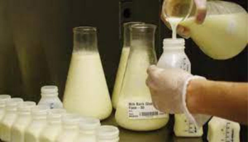 MILK PRODUCTION AND ADULTERATION