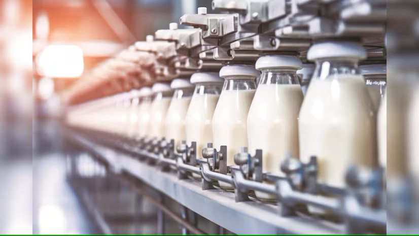 Milk industry sounds the alarm as India's production growth sees steep fall