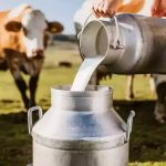 ICAR’s nutri-hormonal therapy to revolutionise dairy farming