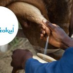 India’s Leading Cooperative “Gokul Milk” Boosts Dairy Farmers with New Initiatives