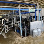 Japanese dairy farm operator targeting India