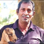 Dairy Farmer Teotonio Afonso's Dedication to Traditional Livestock Rearing