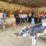 Hindustan Zinc Hosts Advanced Breed Calf Exhibition Under Samadhan Project