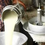 Unsold milk add to financial troubles of dairy farmers in Kolar