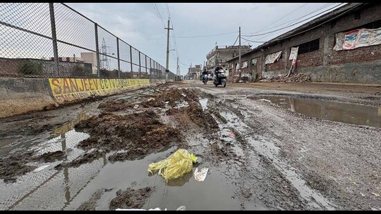 Ludhiana 4 dairy owners booked for dumping cow dung on road