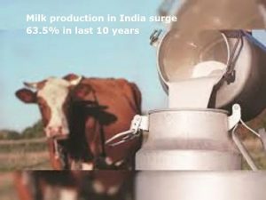 Milk production in India surge 63.5 in last 10 years