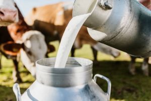 Pulwama Leads Kashmir in Milk Processing with Over Rs 7.45 Lakh Litres Daily