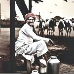 Betrayal of Trust The Bitter Truth Behind India’s Dairy Deception