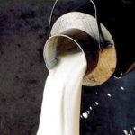 Dairy farm sealed for use of oxytocin