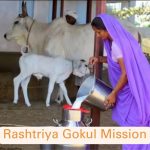 Govt of India implements Rashtriya Gokul Mission for promotion of dairy industry