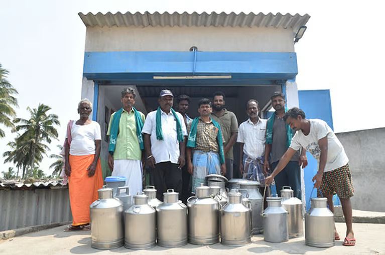 Milk farmers halt supply to Aavin protesting delay in release of incentives