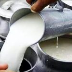 Telangana milk production registers 38.81 per cent rise in 2023-24 Centre