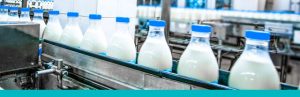 Cold Chain Management Ensuring Freshness of Milk from Dairy Farm to Consumer