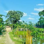 Dairy drives change
