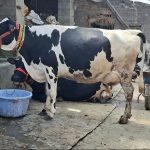 Farm Heroines of Kashmir How Women Are Sowing a New Future