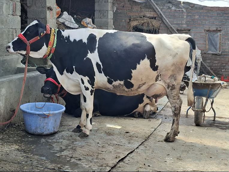 Farm Heroines of Kashmir How Women Are Sowing a New Future