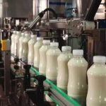 Indian farmers worry about US push to export dairy, grains into Indian market