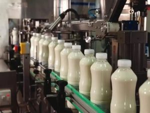 Indian farmers worry about US push to export dairy, grains into Indian market