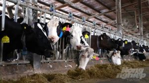 Innovations help reduce dairy production costs