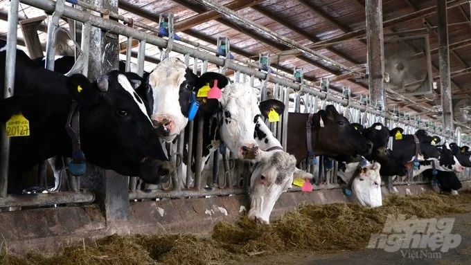 Innovations help reduce dairy production costs