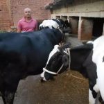 Milking success Story of a dairy pioneer