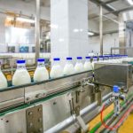 Asia Powers Global Milk Boom FAO Forecasts Growth