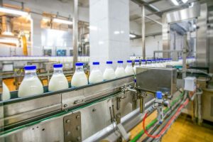 Asia Powers Global Milk Boom FAO Forecasts Growth