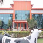 Chikkaballapur's Milk Revolution Farmers First