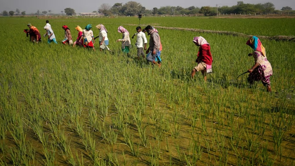 Farmers’ collectives team up with corporate sector